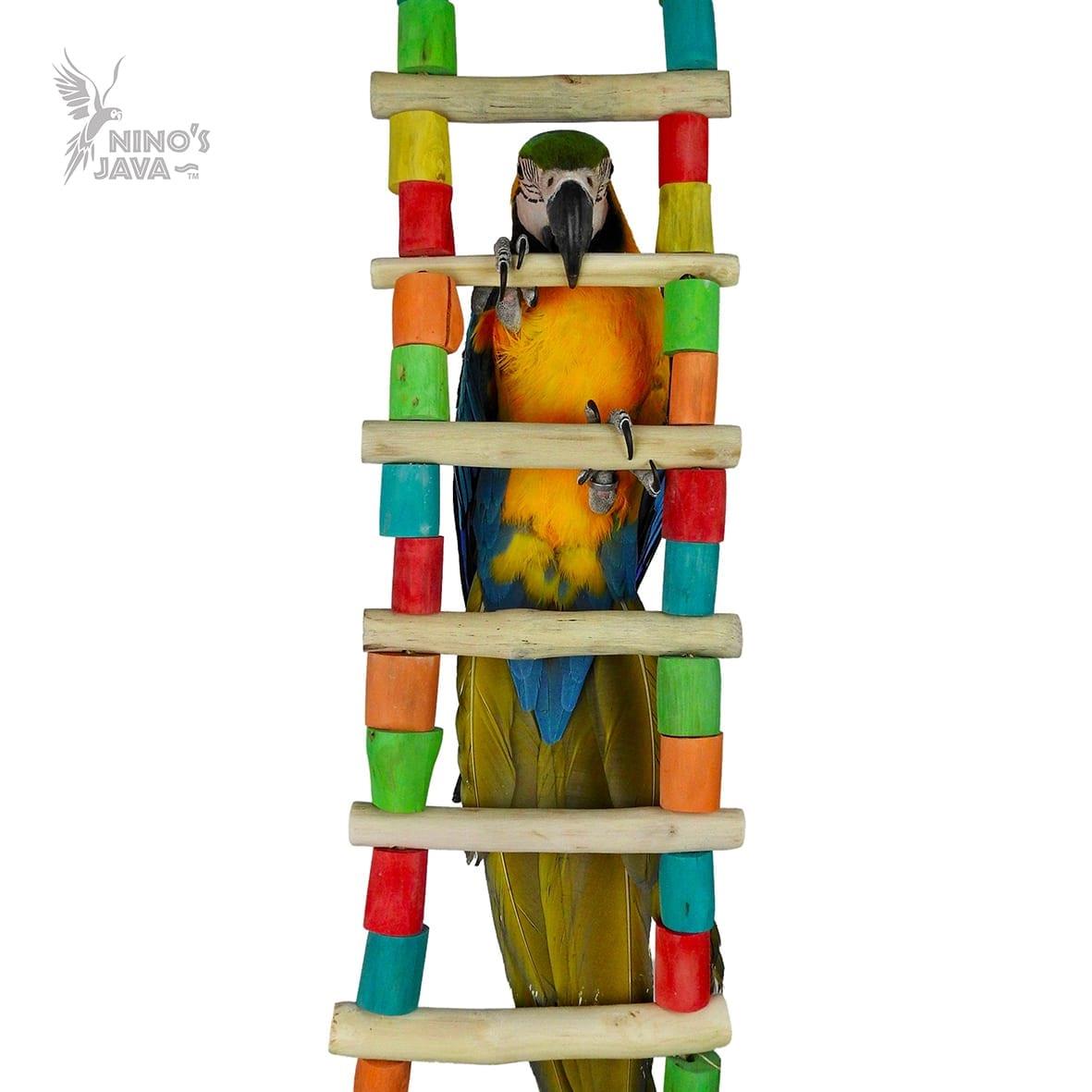 Nino's Java - Giant Ladder